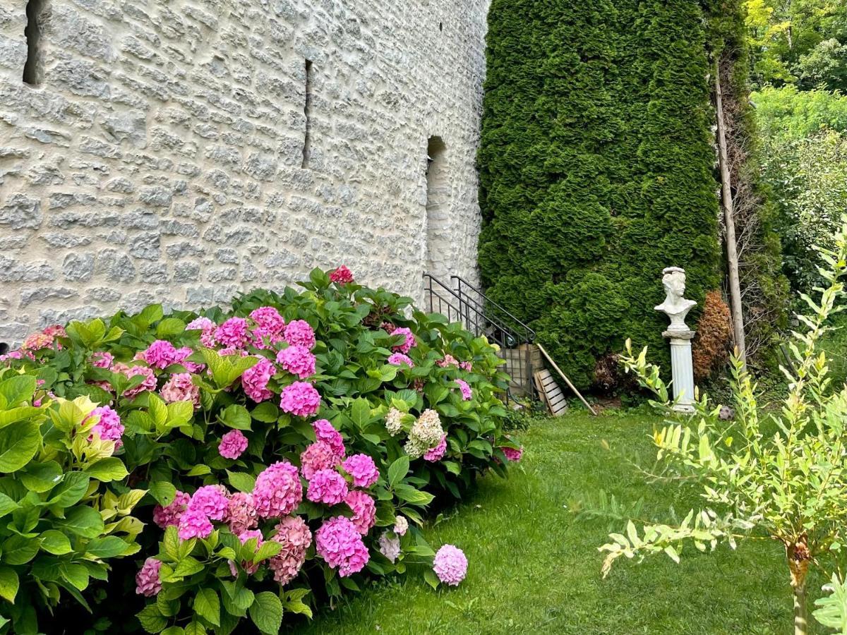 Manoir Saint-Pierre Bed & Breakfast Villersexel Exterior foto