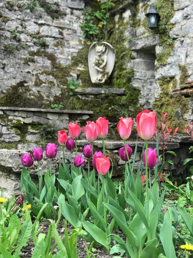 Manoir Saint-Pierre Bed & Breakfast Villersexel Exterior foto