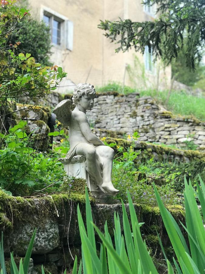 Manoir Saint-Pierre Bed & Breakfast Villersexel Exterior foto