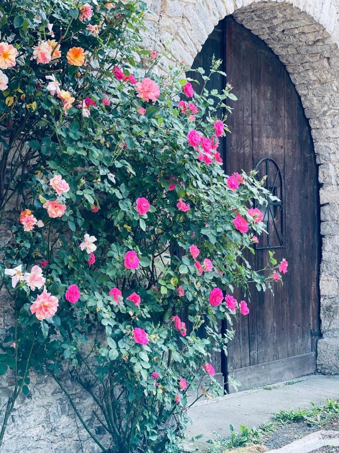 Manoir Saint-Pierre Bed & Breakfast Villersexel Exterior foto